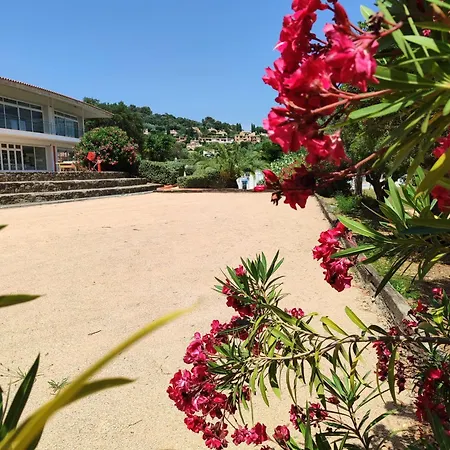 Campsite Le Parc Des Chenes